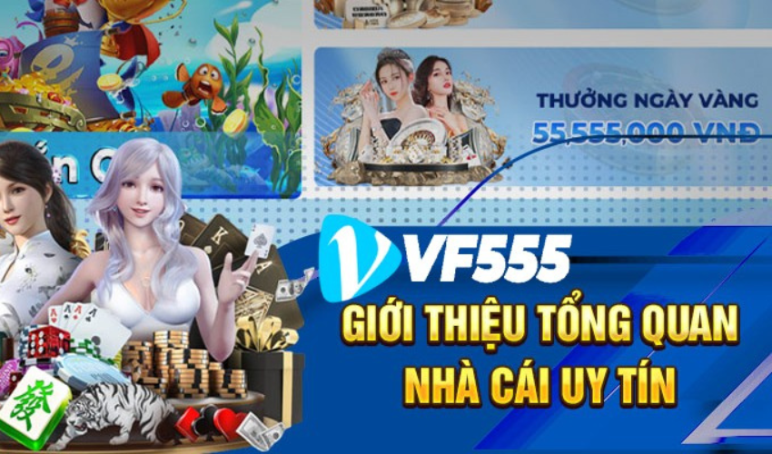 Đại lý VF555 cần lưu ý gì?